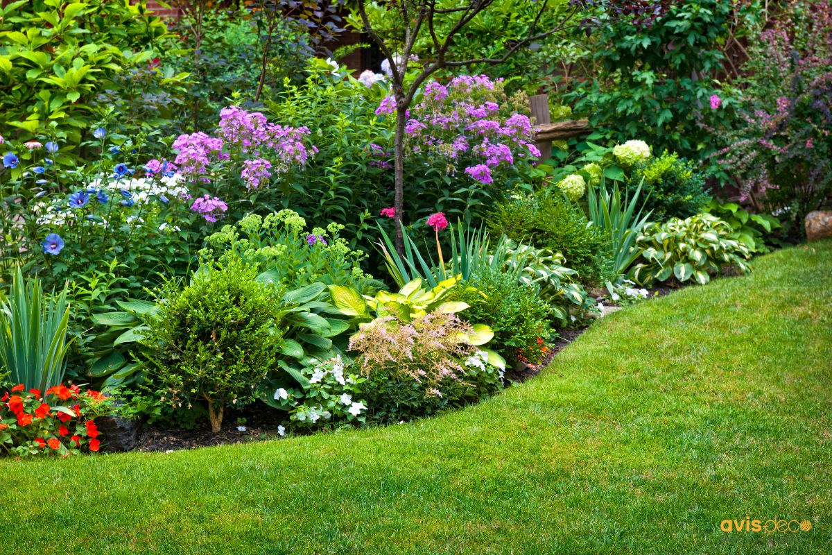 Jardinage aménagement extérieur