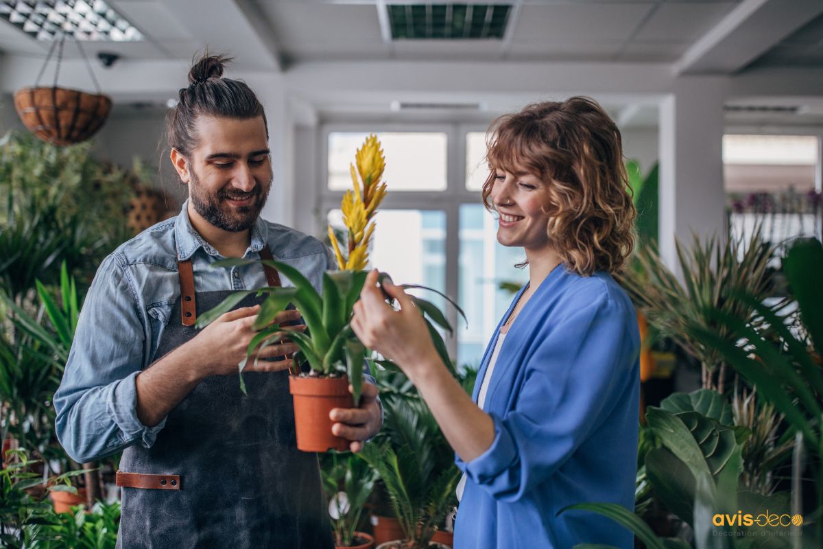 choisir plantes d'intérieur adaptées